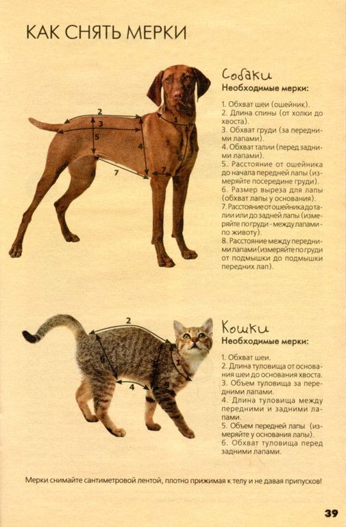 Амигуруми схема вязания кошки Алисы крючком с описанием